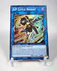 S:P Little Knight