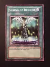 Spring of Rebirth