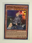 SPYRAL Master Plan