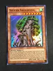 Sylvan Sagequoia