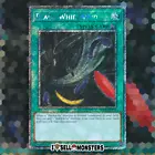 Black Whirlwind