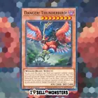 Danger! Thunderbird!