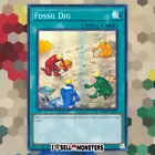 Fossil Dig