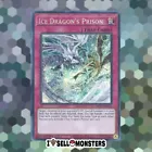 Ice Dragon's Prison