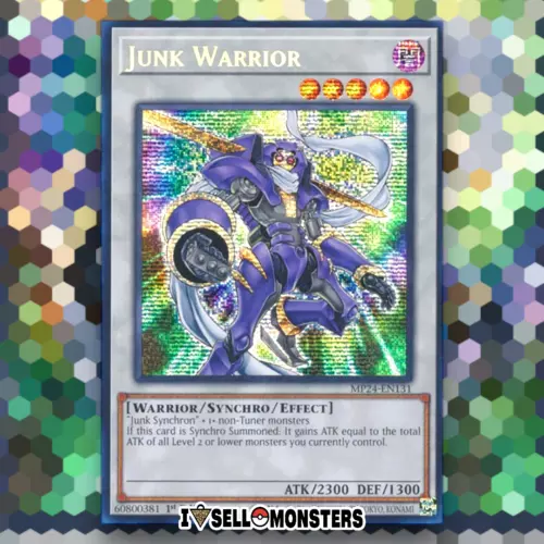 Junk Warrior