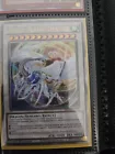 Cosmic Blazar Dragon