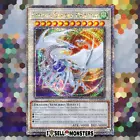 Cosmic Blazar Dragon
