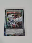 Cosmic Blazar Dragon