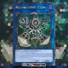 Relinquished Anima