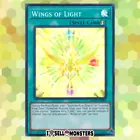Wings of Light