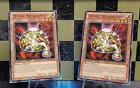 The Light - Hex-Sealed Fusion
