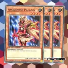 Amazoness Paladin