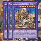Amazoness Pet Liger King