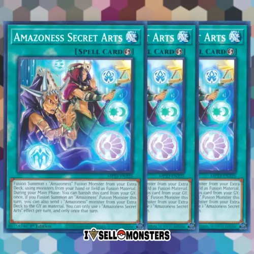 Amazoness Secret Arts