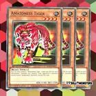 The Earth - Hex-Sealed Fusion