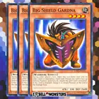 Big Shield Gardna