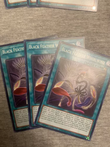 Black Feather Whirlwind