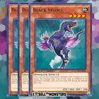 Black Veloci
