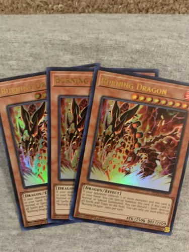 Burning Dragon
