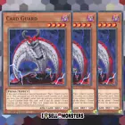 Card Guard