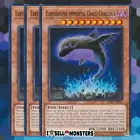 Earthbound Immortal Chacu Challhua