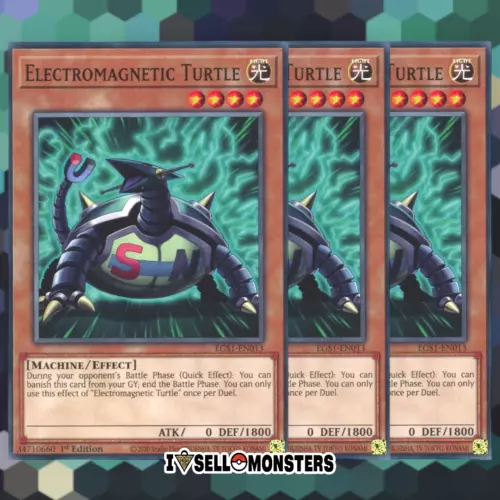 Electromagnetic Turtle