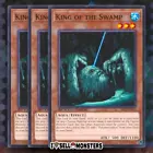 King of the Swamp