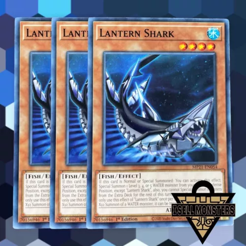 Lantern Shark