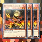 Lonefire Blossom