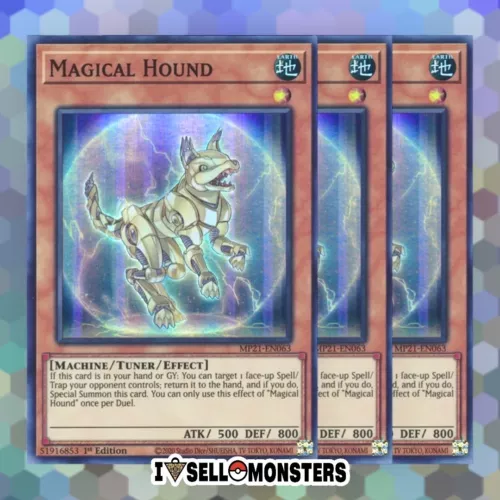Magical Hound