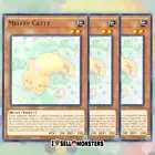Melffy Catty