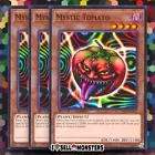 Mystic Tomato