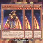Dedication through Light and Darkness