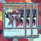 Royal Firestorm Guards