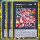 Traptrix Rafflesia