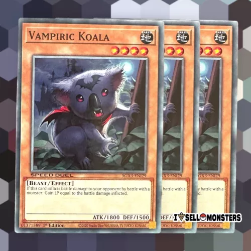 Vampiric Koala