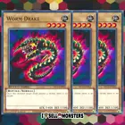Worm Falco