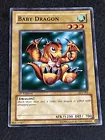 Baby Dragon