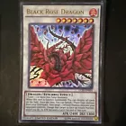 Black Rose Dragon