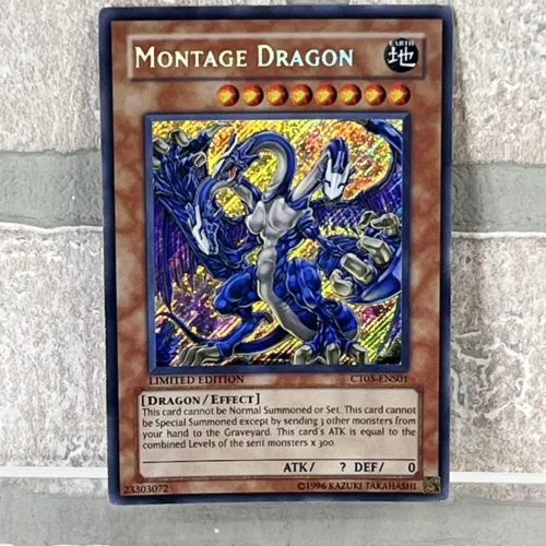 Montage Dragon