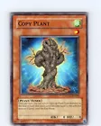 Copy Plant