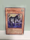 Dark Zebra
