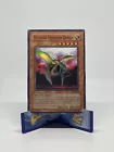 Different Dimension Dragon