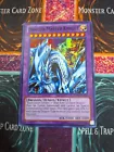 Dragon Master Knight