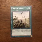 Dragon Shrine