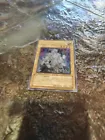 Gene-Warped Warwolf