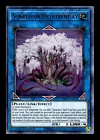 Sunavalon Dryatrentiay