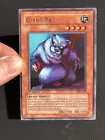 Giant Rat