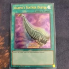 Harpie's Feather Duster