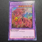 Invoked Magellanica